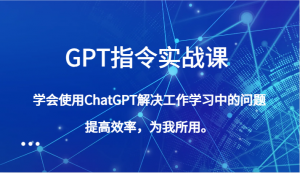 GPT指令实战课，学会使用ChatGPT解决工作学习中的问题，提高效率，为我所用。-百义虚拟电商货源网